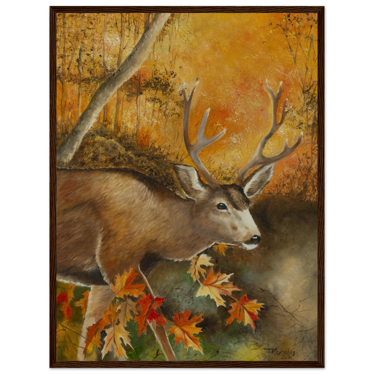 2e04ab72-5e2d-40c1-a7d1-bcf286fcc631